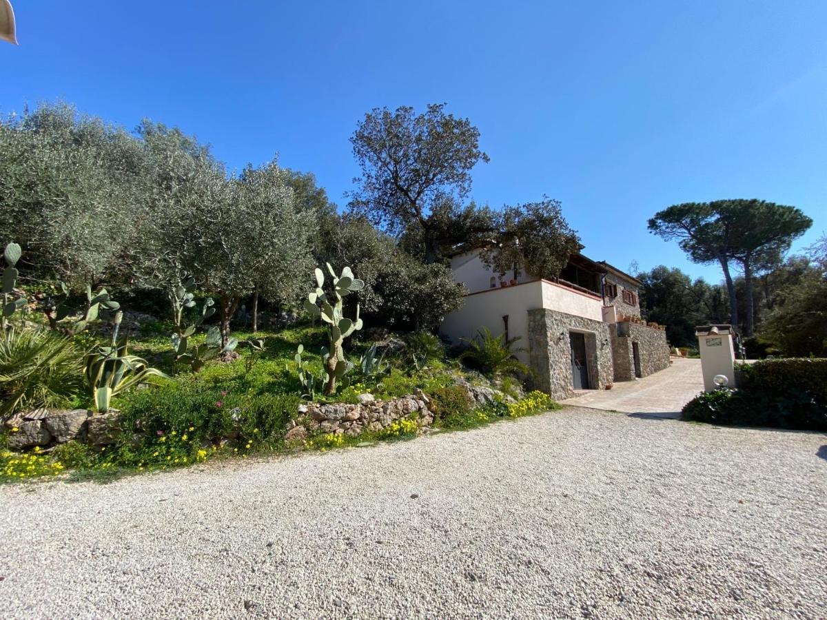 Paradisino Apartment