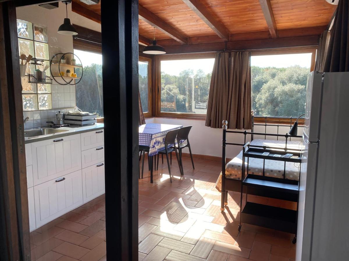 Paradisino Apartment *
