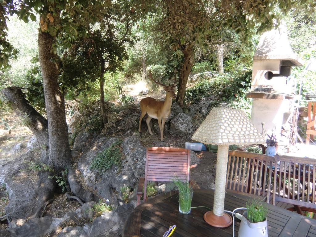 Apartment Paradisino