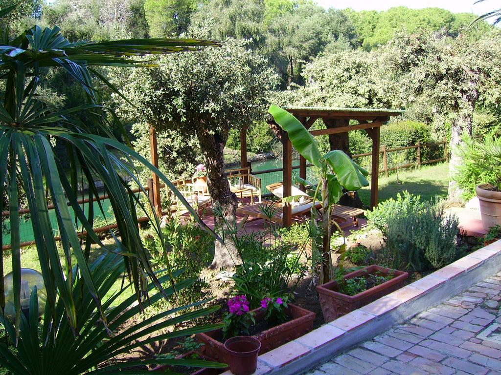 Paradisino